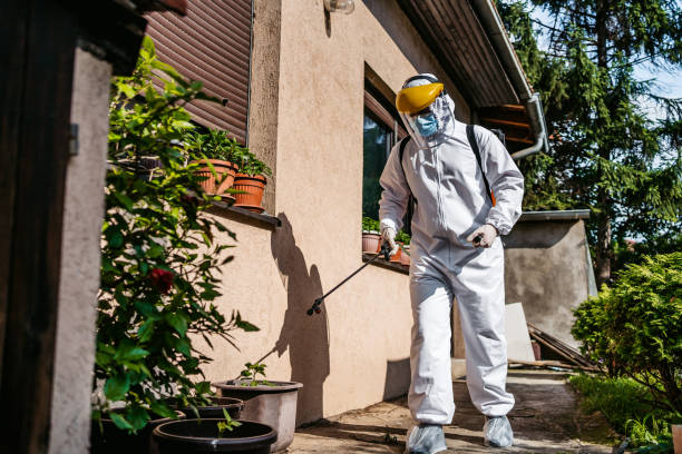 Best Flea Control Services  in Carson City, MI