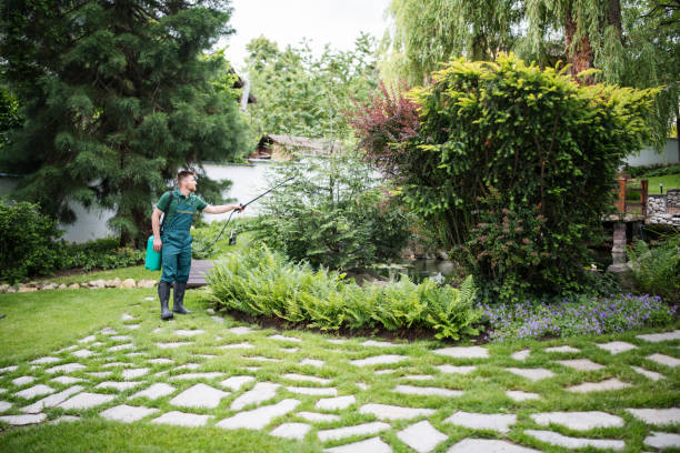 Best Pest Inspection Near Me  in Carson City, MI
