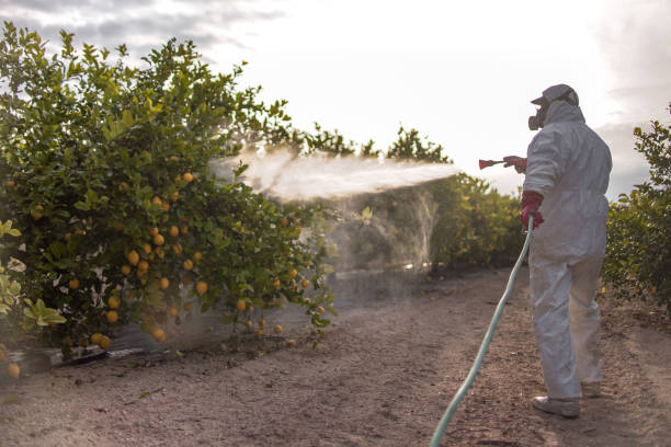 Best Rat Extermination Near Me  in Carson City, MI