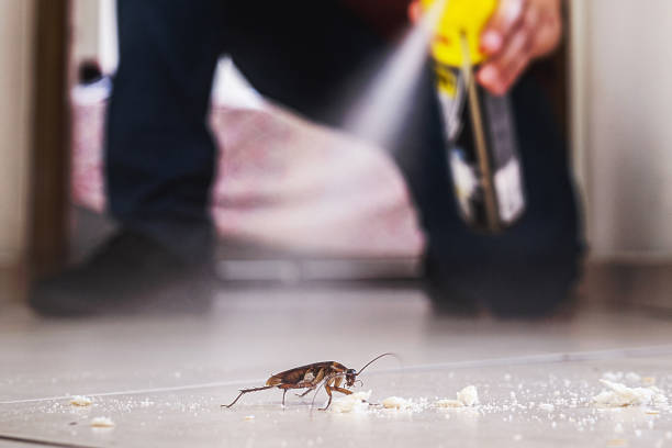 Best Affordable Pest Control Services  in Carson City, MI